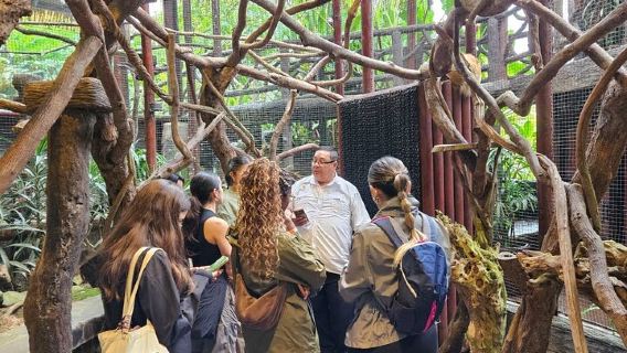 Excursión de día completo a los jardines de la cascada La Paz desde San José