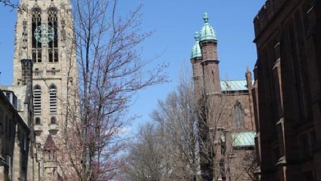 New York + Statue of Liberty + Brooklyn Bridge day tour / customizable itinerary - customizable options available