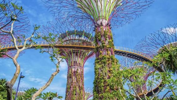 Singapore Study Day Tour - Nanyang Technological University