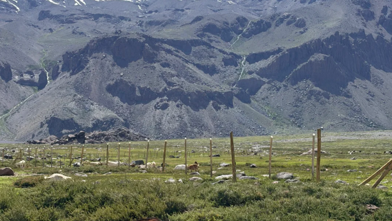 智利境內/專業中文導遊/地陪/翻譯/景區講解