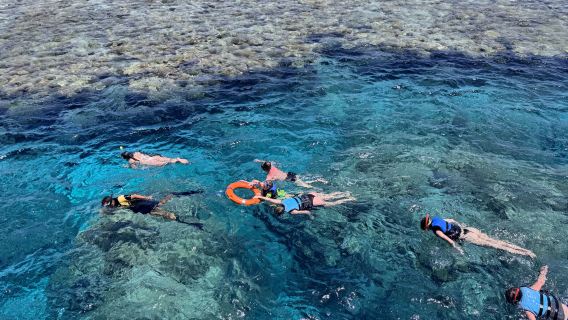 Hurghada Red Sea - Explore the Diving Paradise with Snorkeling/Scuba Diving, Lunch + Transfer