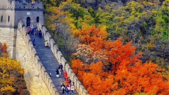 Badaling Great Wall 1-day tour & late departure, witness the grandeur of the Great Wall/Optional private tour with door-to-door pickup