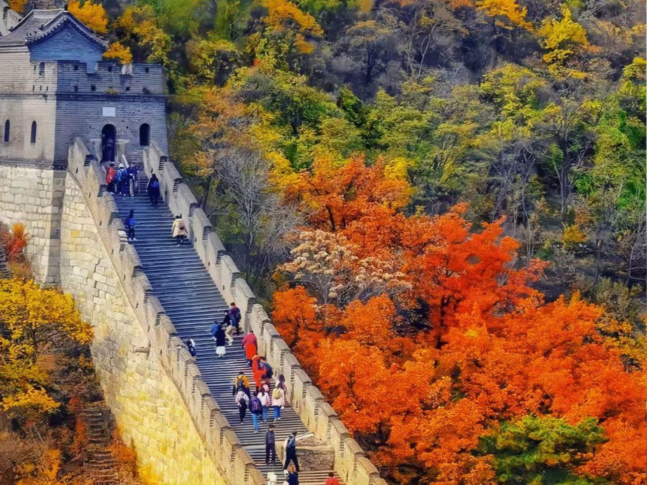 ทัวร์ 1 วัน กําแพงเมืองจีน ด่านปาต๋าหลิ่ง & ออกเดินทางตอนเย็น ชมความยิ่งใหญ่ของกำแพงเมืองจีน/เลือกได้ ทัวร์ส่วนตัว มีบริการรับส่งถึงที่