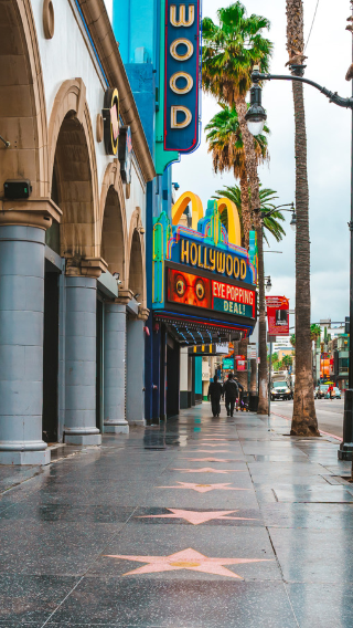 Los angeles + Santa Monica pier + farmers market 1-day tour [Premium small group * English-speaking group]