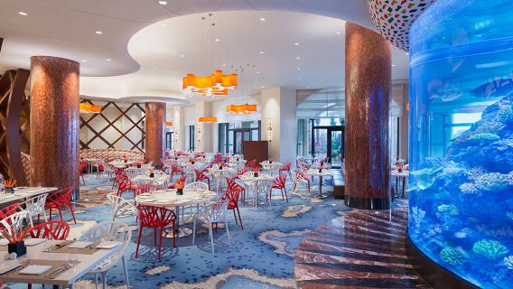 Zhuhai Chimelong Resort Hengqin Bay Hotel Food & Beverage Voucher Child Ticket (Dolphin Buffet Breakfast/Lunch/Dinner)