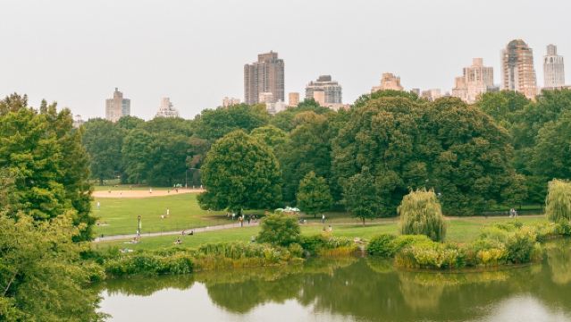 美國紐約-大都會博物館-中央公園一日遊【市區飯店接駁】