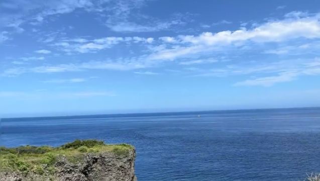 Lawatan Sehari ke Okinawa Churaumi Aquarium dan Manzamo (Termasuk Tiket Masuk)