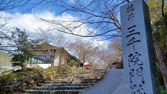 京都一日遊｜貴船神社＆嵐山竹林小徑｜漫步京都（大阪/京都出發）