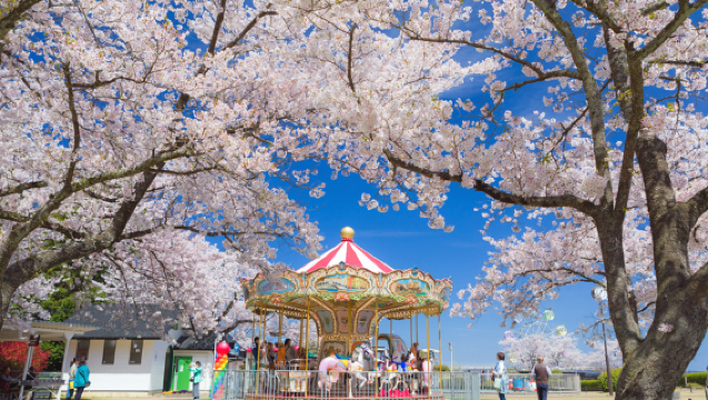 大阪/京都発 天橋立ケーブルカー＆伊根舟屋＆遊覧船ワンデーツアー