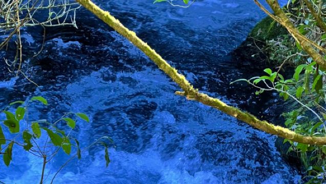 紐西蘭奧克蘭：藍泉+羅托魯瓦+地獄門 中文包車深度遊行程可調