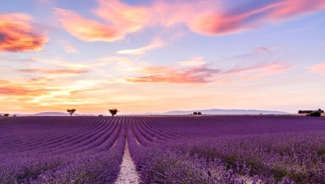 Perancis Marseille: Calanques + Plateau de Valensole + Tasik Sainte-Croix | Sewaan Peribadi Tersuai dalam Bahasa Cina