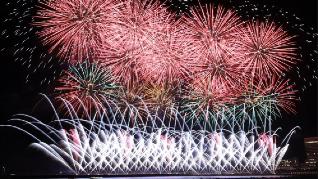 Atami fireworks · 9-person group | 1-day tour from Tokyo to Izu: Mt. Omuro + Jogasaki Coast