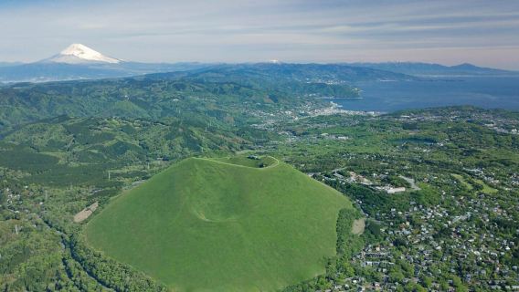 1-day tour to Atami Sun Beach Road, Jogasaki Coast & Mt. Omuro in Izu