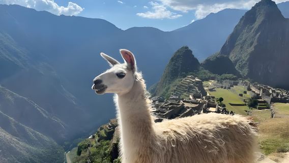 Partida de Cusco na América do Sul: Excursão Radical de Um Dia a Machu Picchu no Peru | Grupo em Idioma Estrangeiro
