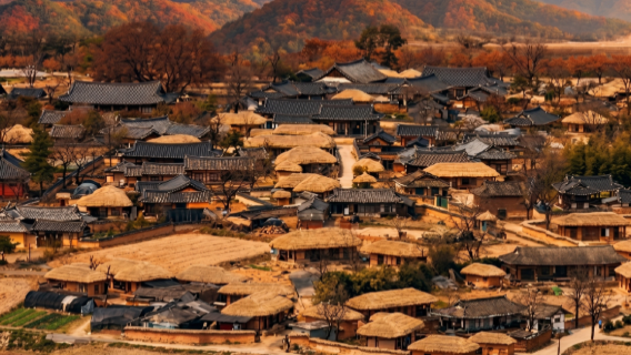 Daegu & Andong Hahoe Village Day Tour from Busan: Food, UNESCO Heritage and Nature (Depart from Busan)