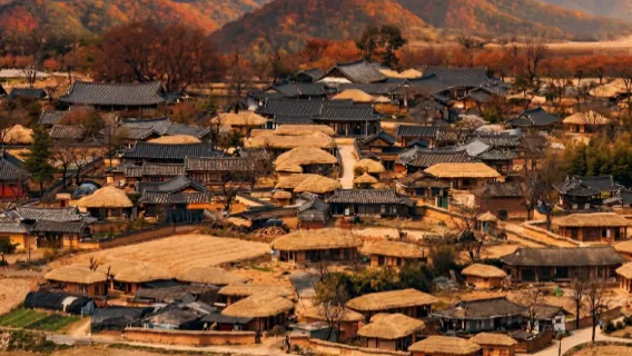 Excursión de un día a Daegu + aldea de Hahoe en Andong: gastronomía, patrimonio mundial y paisajes naturales (salida desde Busan)