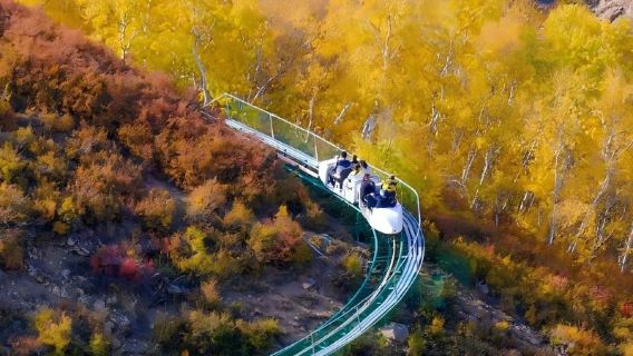 [Musim Luruh Emas Gunung Saddle Birch] lawatan sehari + kumpulan kecil 8 orang tiada tiket masuk pakej pelbagai | pergi-balik bayaran kenderaan