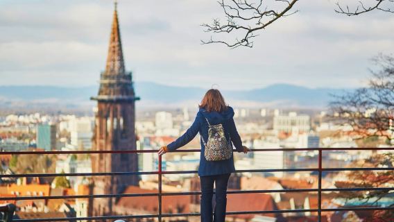 Freiburg: Veni, vidi, vino - Weinwanderung und Verkostung