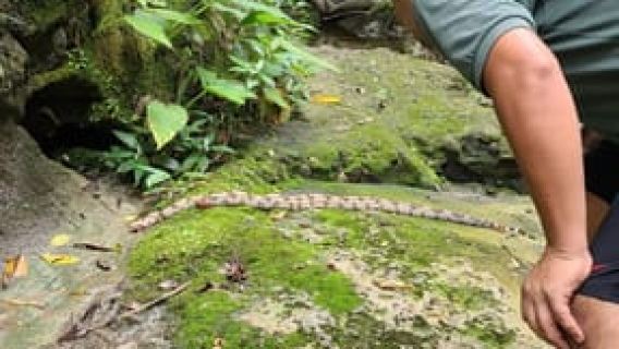 Day Sightseeing Tour / Amboró National Park (north side)