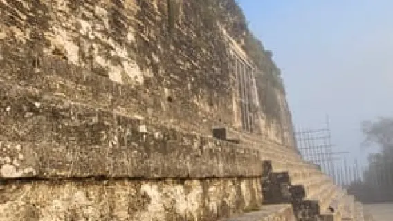 Von El Remate: Geführte Tour durch Tikal - All Inclusive