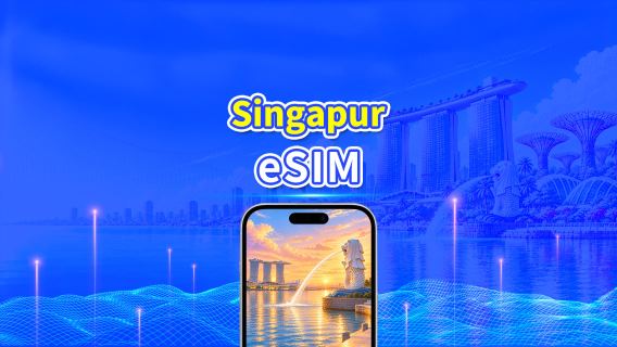 Singapur 4G eSIM | Doble Cobertura | Paquete de datos diario/total | 1–30 días | Facturación por 24 horas | Código QR