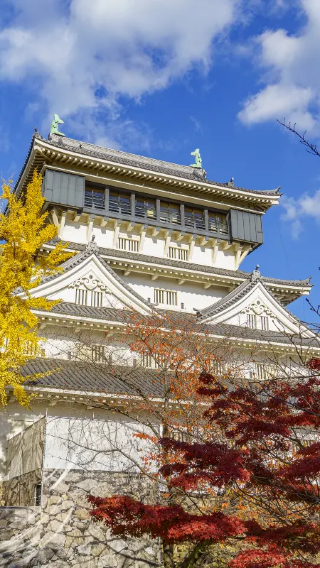 Kitakyushu retro line | Mojiko Retro district + Karato Fish Market + Kokura Castle family package