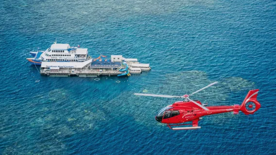 [Plazas disponibles en Fiesta Nacional] Excursión de un día en el crucero Sunlover a la Gran Barrera de Coral en Cairns #Reserva directa oficial con almuerzo incluido