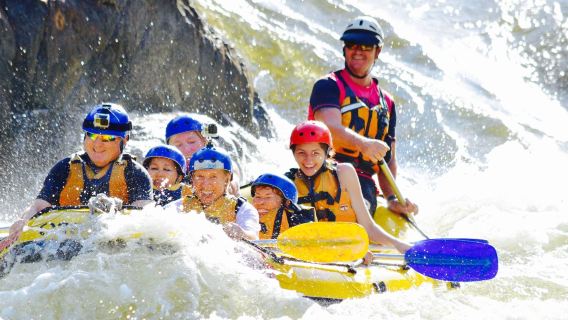 รับงานด่วน #ทัวร์ครึ่งวันล่องแก่งที่แม่น้ำบาร์รอน แคนส์ มีบริการรับส่งที่โรงแรมหรือมีครูฝึกมืออาชีพใกล้เคียงสำหรับการผจญภัยที่ตื่นเต้น