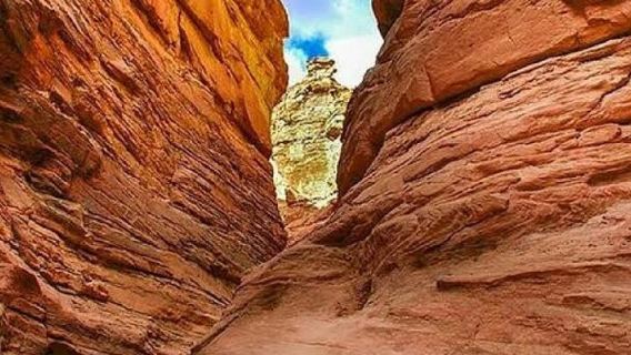 Sharm El SheikhTours