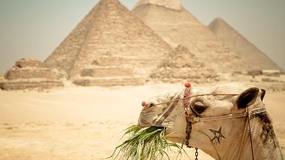Cairo