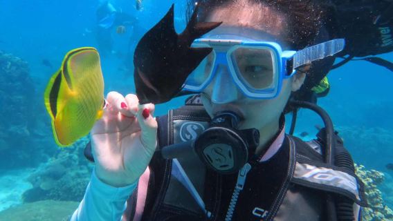 Boracay diving certification scuba OW / AOW certification 3 days | PADI five-star diving shop & professional coach