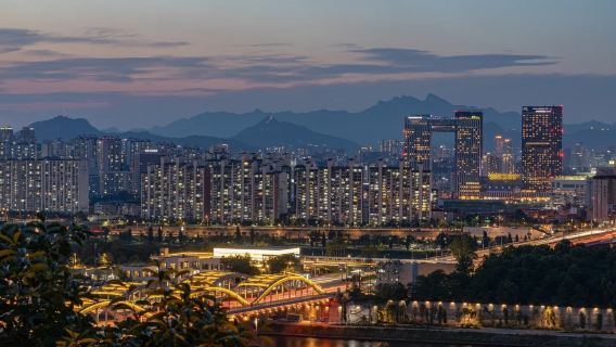 Seoul Night Tour Highlights | Gwangjang Market: Traditional Market Food & a Han River Night View Stroll