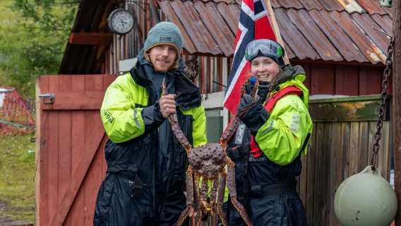 Passeio de meio dia de aventura com caranguejo-rei em Kirkenes, Noruega
