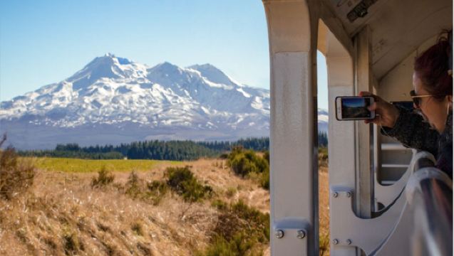 Classic sightseeing train journey in North Island, New Zealand: Wellington - Hamilton - Auckland (one-way)