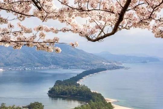 One-day trip to Amanohashidate + Funaya in Ine, Kyoto, Japan