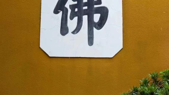 舟山普陀風景區一日遊「祈願還願.靜心禪行之旅」