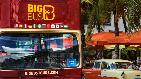 Miami: Panoramic City Tour + Yacht Cruise