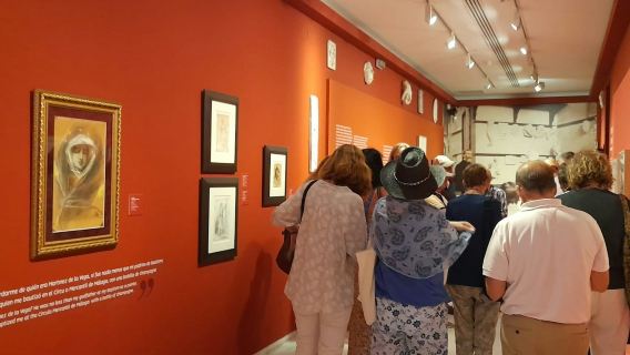 Picasso Birthplace Museum: Entry Ticket