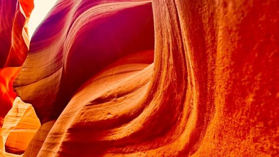 美國拉斯維加斯來回羚羊谷-馬蹄灣-鮑威爾湖-包車12H-精選