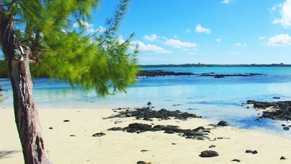 MauritiusExperiences