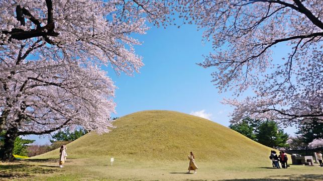 韓國慶州新羅古蹟一日遊 (釜山出發, 世界文化遺產)