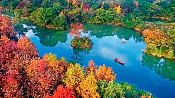 Hangzhou - Xixi Wetland - Wuzhuangyuanfang - Longjing Village - Jiuxi Yanshu Tour della cultura del tè cinese e inglese per piccoli gruppi