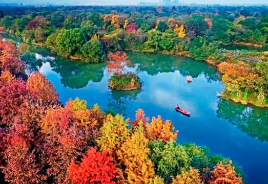 Hangzhou, China: Custom Private Charter with Multilingual Guide for Xixi Wetland + Longjing Village + Nine Creeks in the Misty Forest