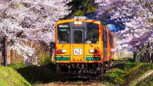 日本東京+渡良瀬川+赤城山一日遊