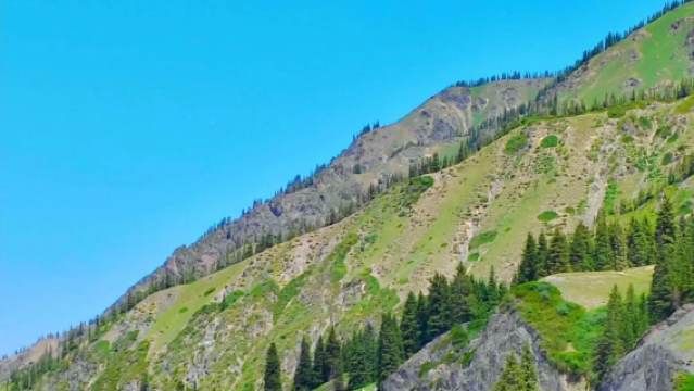天山天池+天山大峽谷一日遊【包車遊】
