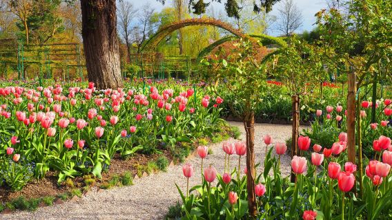 從巴黎出發：莫內的後花園・睡蓮誕生地一日遊