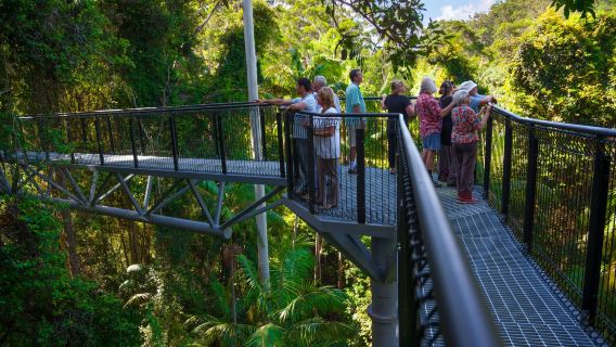 Tamborine Mountain: Hop-on Hop-off Bus from Brisbane