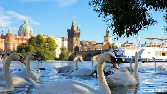 PragueExperiences