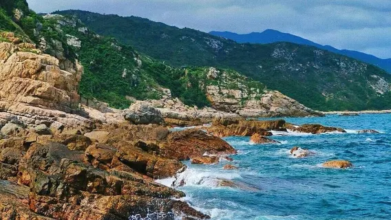 Shenzhen Judiaosha + Vila Luzui + Observatorium + perjalanan satu hari Yangmeikeng ( Tersedia dalam Bahasa Inggris)