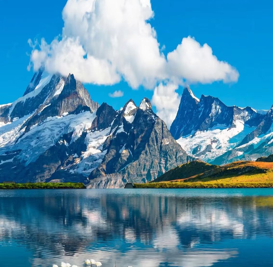 瑞士因特拉肯少女峰+格林德瓦+龍疆湖【中文包車/諮詢優惠】